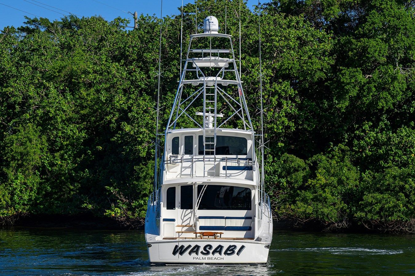 the best price on WASABI - VIKING