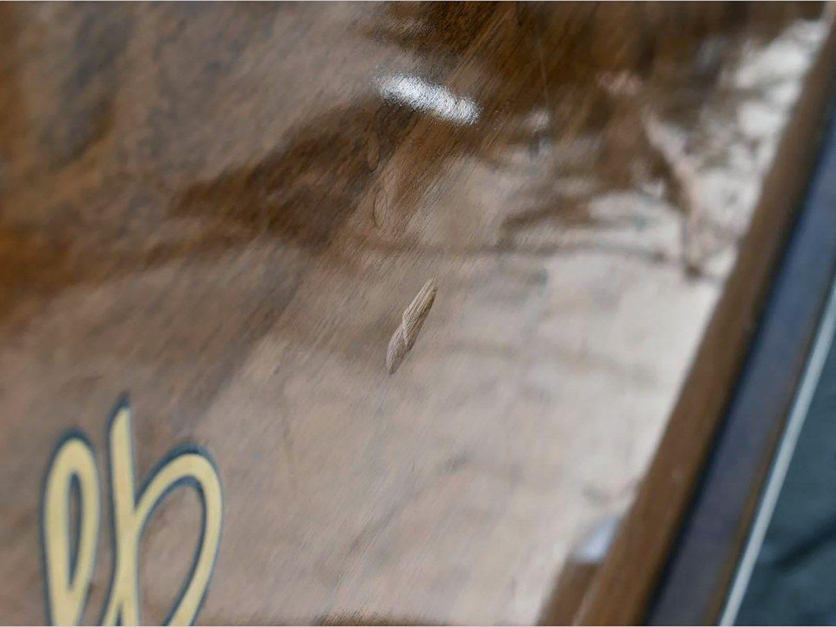 Buy a 20' Hacker Craft 1990 20 at Shestakov Yacht Sales