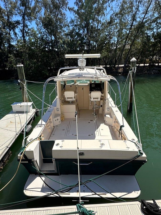 No Name - ALBIN price