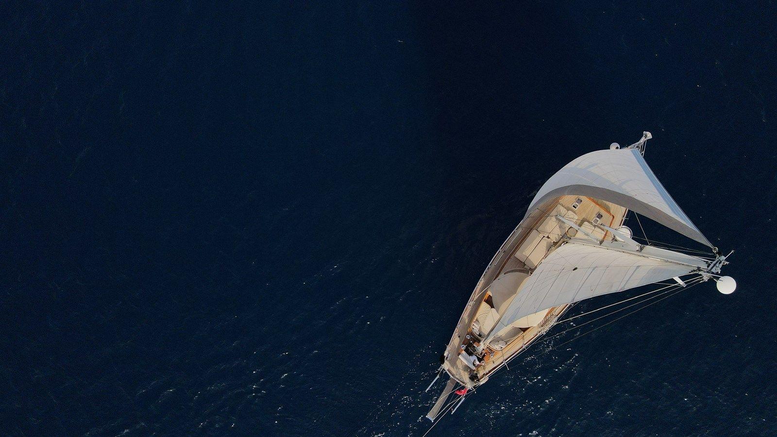 Levantina 2003 price