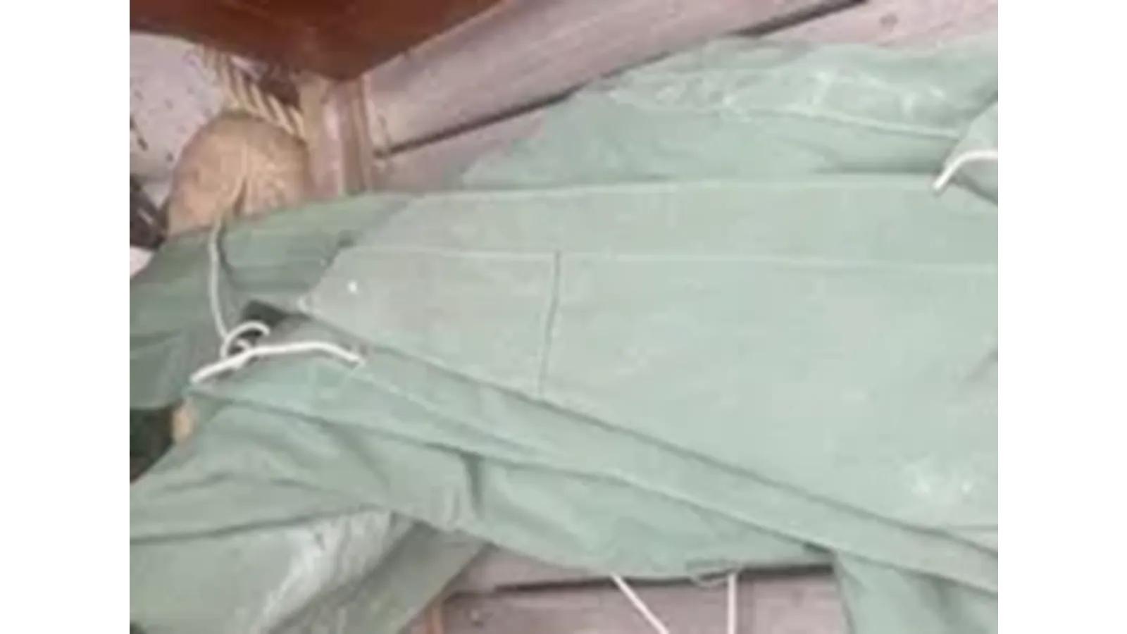 Лучшая цена на 1990 Golden Era Petrel