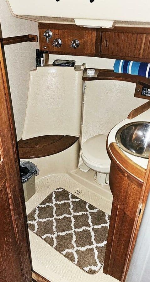 Купить Katydid 36