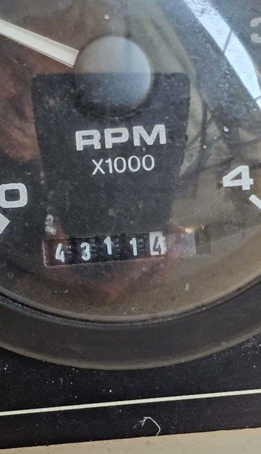 Купить Katydid 2000