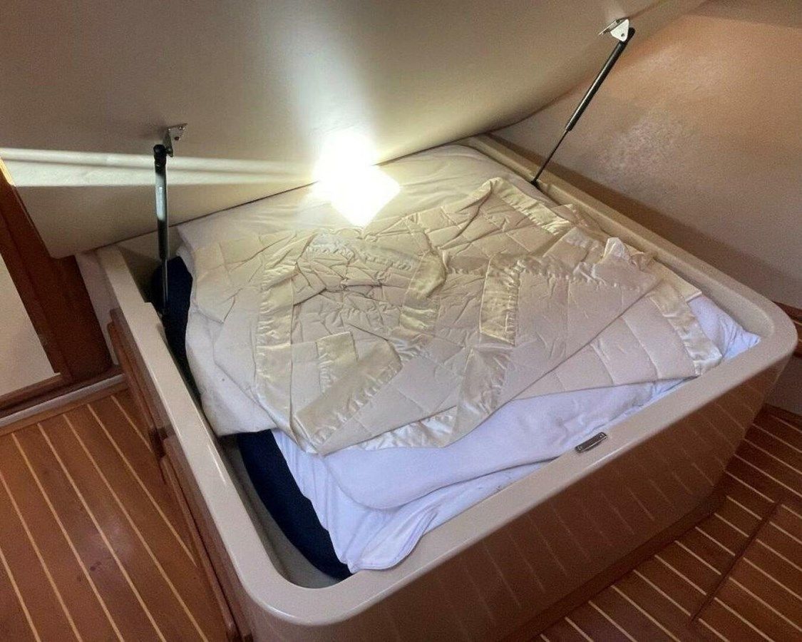 Ocotillo - ISLAND PACKET