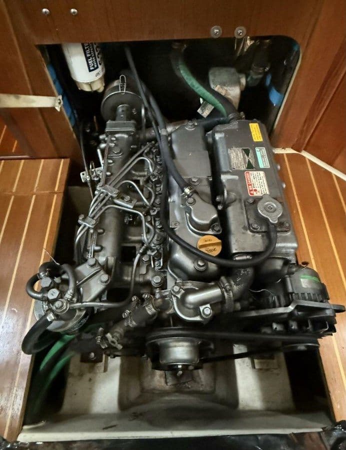 Dream Catcher - HUNTER