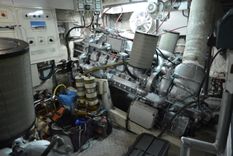 White Shark 1991 price