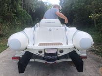 Купить 2013 WIlilams Jet Tenders Turbojet 445 - WILLIAMS PERFORMANCE TENDERS