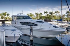 Продажа яхты - - SEA RAY