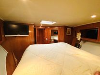 The Motley Crew - NAVIGATOR price