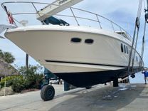 Endless Summer Sundancer