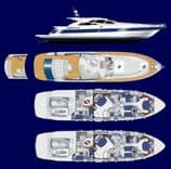 FREE SPIRIT - PERSHING price