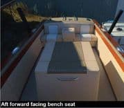 Show Pony - CENTURY BOATS price