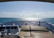 Купить Proteus 2015