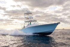 Maverick 39 2023