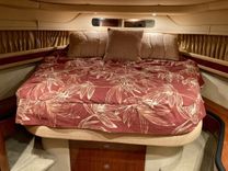 Лучшая цена на SCOTT FREE 2005