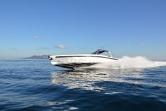 Купить - - MAORI