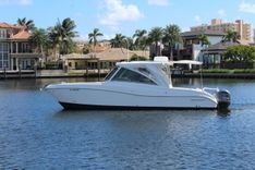 the best price on NO NAME - WORLD CAT