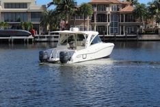 NO NAME - WORLD CAT yacht sale