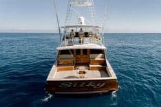 Silky Convertible Sportfish