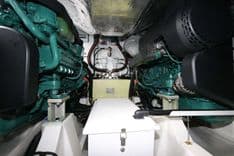 Lydia Swag Predator 50