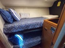 Southern Belle 2017 price