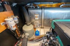 Купить Sweet Bird 41