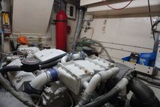 Лучшая цена на DHARMA 1978