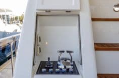 The Flying Wasp 2006