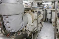 Купить The Flying Wasp - Johnson