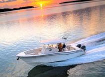 PIGASUS - Grady-White Boats