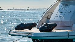 Лучшая цена на SEA WOLF P82