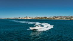 Лучшая цена на Robin Ann 38