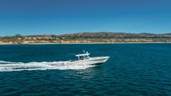 Купить Robin Ann