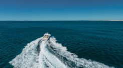 Лучшие предложения покупки яхты Robin Ann - Boston Whaler