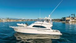 Pura Vida - Bertram Yacht