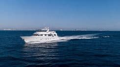 Лучшая цена на WELL DONE 84