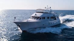 Купить WELL DONE