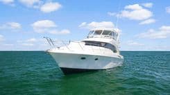 the best price on Regret Knot