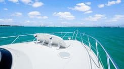 best yacht sales deals Regret Knot - OVATION