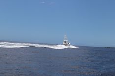 Лучшая цена на Abunai 2001