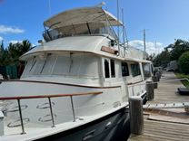 Купить Beginner's Mind 65 Long Range Cruiser