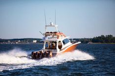 2024 Scout 530 LXF 2024