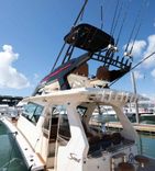 2024 Scout 530 LXF 53