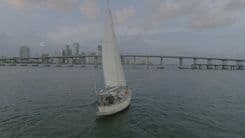 the best price on PAN OCEANIC 43