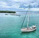 PAN OCEANIC 43 price