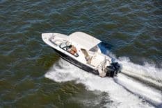 Лучшая цена на 2024 Scout 277 Doradoo