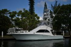 Knot Diggin - Cabo Yachts price