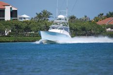 Лучшая цена на CAZADORA 38