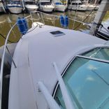 the best price on Y-KNOT 2021