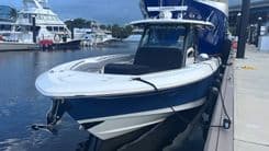 BLUE WHALER 38 price